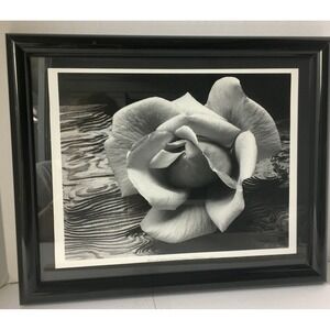 ANSEL ADAMS Art Photo ROSE and DRIFTWOOD 1932 Still Life 17x14 Inches